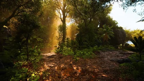 Sunlight Filters Through Lush Trees in a Serene Forest During Early Morning