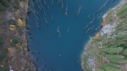 A perspectiva aérea captura um lago tranquilo com árvores submersas exibindo cores vibrantes e