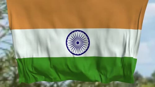 Indian National Flag Waving Animation Loop