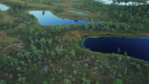 An aerial view of a swampy area with several lakes