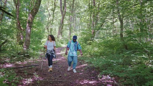 Paar Mann Frau mit Stöcken Trekking Wandern im Wald in voller Größe