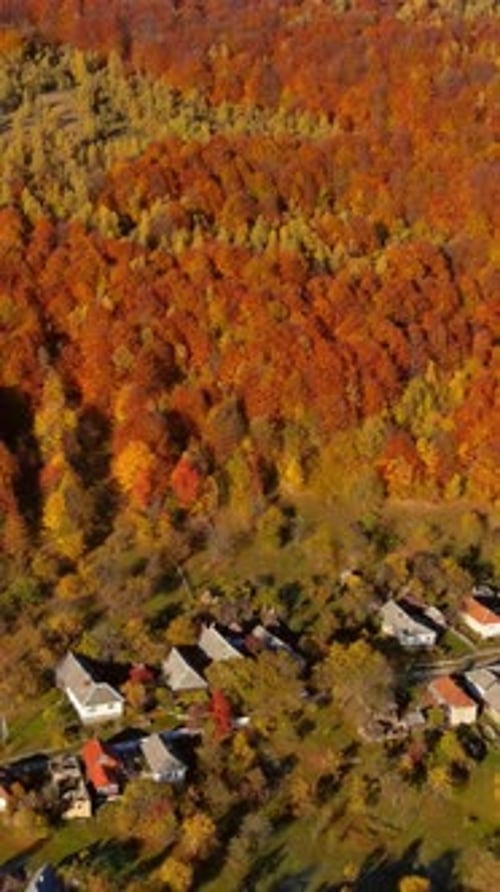 Village Fields a Top Carpathian Mountains in Autumn