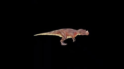Wild Ceratosaurus Idle 2