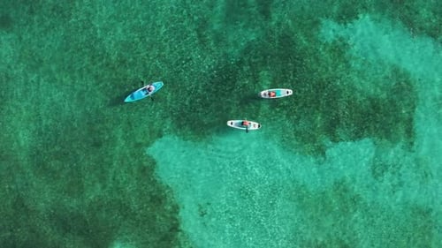 Enjoy an Aerial View of Paddleboarders in Beautiful Cozumel Mexico