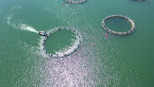 Aerial View Of Fish Ponds In The Lake
