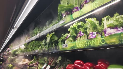 Organic produce section of a grocery store with mist spray to freshen