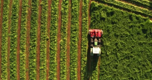 Aerial shot of farming tractor is plowing and cultivating field for future sowing new crops in a s