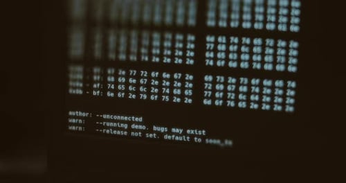 Computer Screen Displaying Hex Code and Text