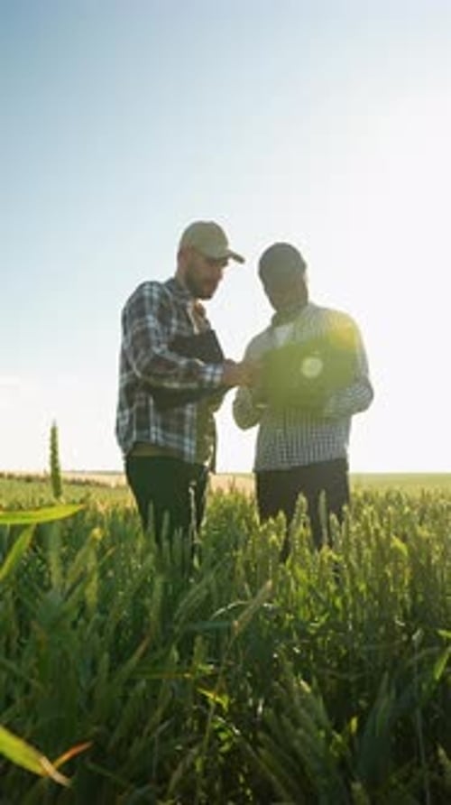 Farmers Discussing Tablet in a Rural Green Field