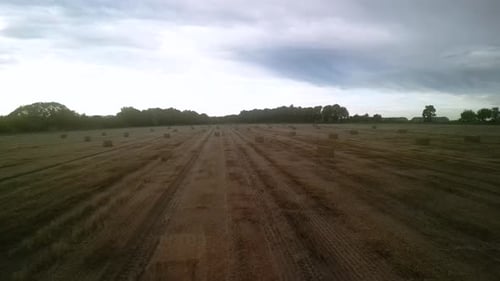Yellow field with harvested wheat and hay bales. Aerial view of the field with square bales