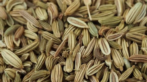 Dried fennel seeds pile close up