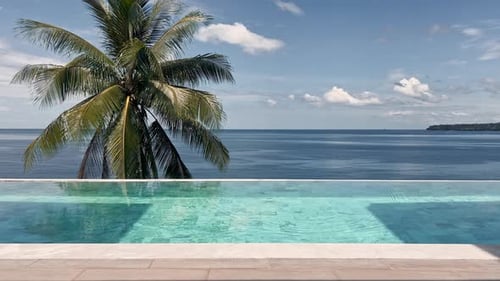 Sea View Through the Pool and the Coke Palm Tree in Clear Sunny Weather a Coconut Palm Tree the