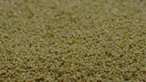 brown top millet grains close up, parallax shot, 4k