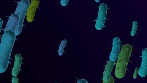 Microscopic view of bacteria cells in motion