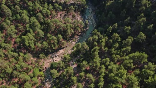 Mountain Creek View