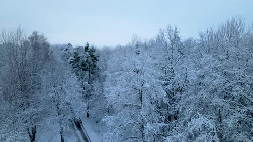 Slow descending aerial shot of winter forest with snow covered wooden branches and empty road in dec