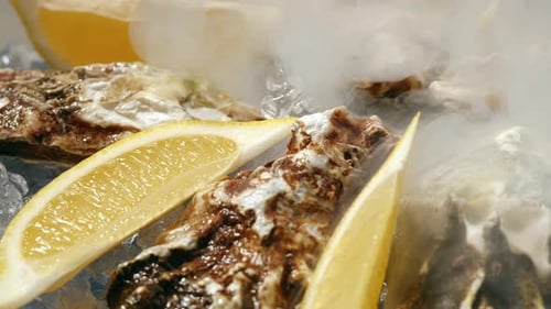 Fresh Raw Oysters with Ice French Restaurant Mediterranean Healthy Sea Food Gourment Luxury Cuisine