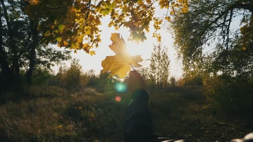 Close Up Hand of Woman Holding Yellow Maple Leaf at Sunset Background Bright Sun Illuminates