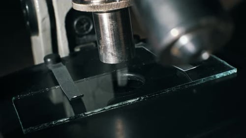 Preparing Wet Mount Slide for Microscopy Examination