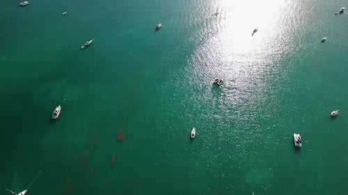 Top Down View of Sailboats Anchored Off Shore Aerial