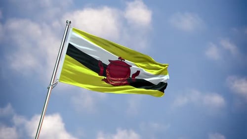 Brunei National Flag Waving Loop