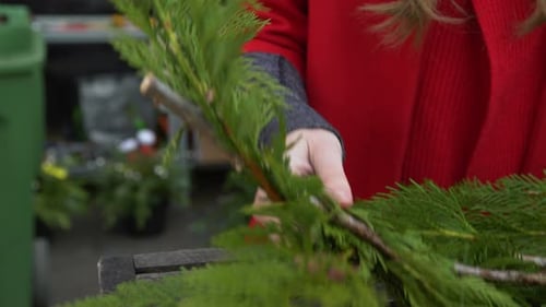 Woman Assembling Green Branches for Christmas Wreath