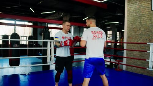 Sparrings-Boxer trainieren Schläge im Boxring Zwei männliche Sportkämpfer trainieren im Fitnessstudio