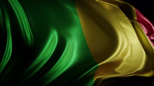 Realistic Waving Green Yellow Red National Flag Animation