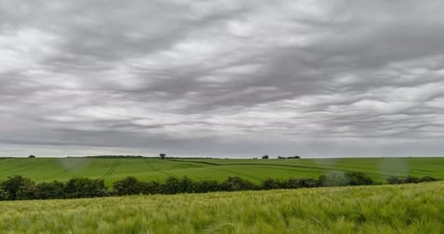 Stormy Clouds Over Wheat And Green Fields Time Lapse