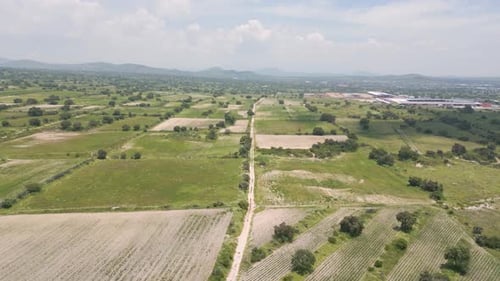 Backward Drone Aerial Pullback Over Mixed Green and Dry Agricultural Fields With Scattered Trees in