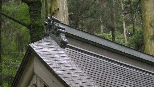 Rain falling on roof of Japanese temple deep in forest, slow motion