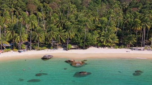 Aerial of Tropical Beach with Palm Trees and Turquoise Sea on Island in Thailand