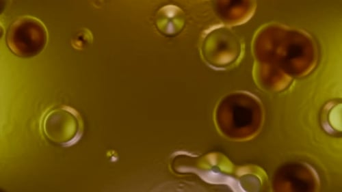 Fluid Organic Microscopic Cells Morphing Background