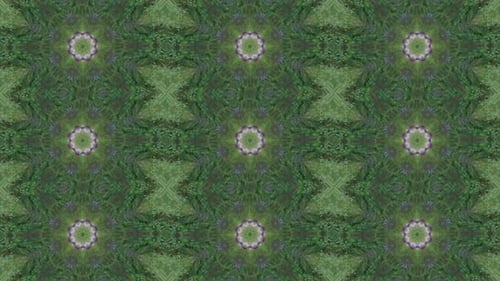 Abstract Nature Kaleidoscope Pattern Seamless Loop Background