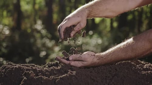 Closeup of Hands Holding and Examining Soil Outdoors Farmer or Gardener Checking Earth Texture and
