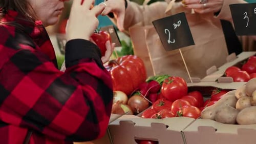 Customer Buys Fresh Vegetables at Farmers Market