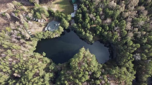 Lake surrounded by trees. Beautiful landscape in aerial drone shot.