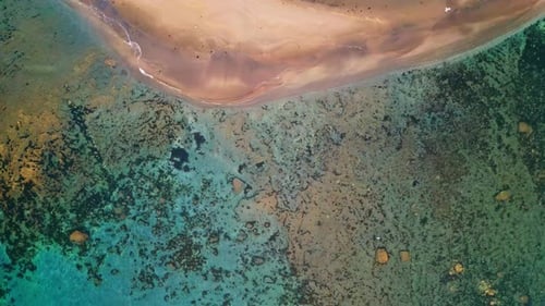 Calm Waves Washing Coral Shore Top View Relaxing Tropical Resort Beach Drone