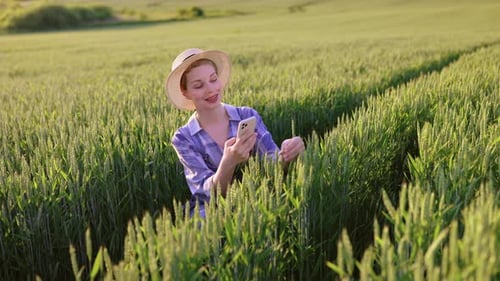 Farmer Using Phone in Wheat Field