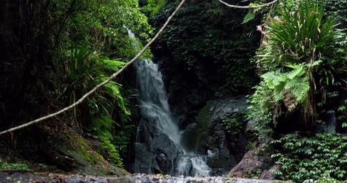 Hidden Tropical Waterfall Cascading Through Lush Green Rainforest Jungle Paradise