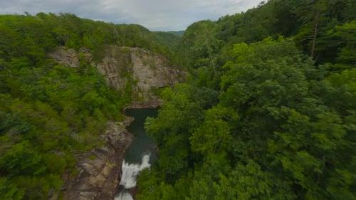 Luftaufnahmen, die einem Fluss mit Wasserfällen folgen, die durch eine üppige grüne Bergschlucht fließen
