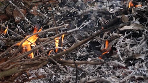 Inmitten der Asche flackert eine Flamme im Herzen der Trümmer