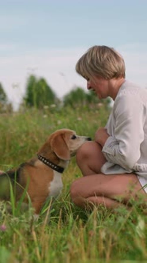 Dog Owner Playfully Interacting with Dog in Grassy Field Sharing Joyful Bonding Moment