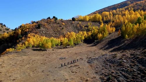 Hikers Walking on Rural Hillside with Autumn Trees