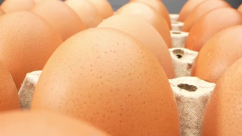 Close Up of Brown Eggs in Carton