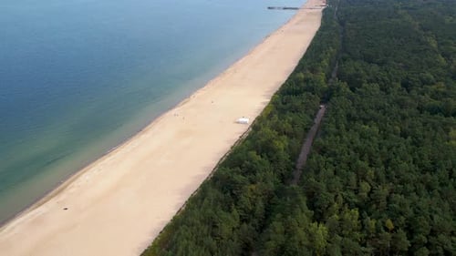 Aerial shot of a serene sandy beach bordering a calm sea on one side and dense green forest on the o