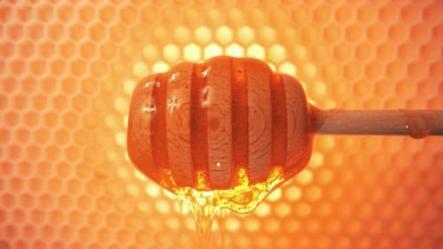 Honey on Honey Dipper