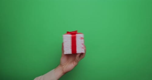 Close Up Man Hand Holds a Red Gift Box in His Palm Raise with Shaking and Lowers on the Background
