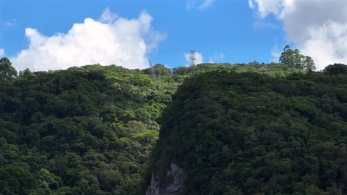 High voltage power lines and transmission towers revealed above dense forest, aerial rise