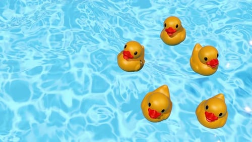 Loop Rubber Ducks Joyfully Floating in an Inviting Pool of Water